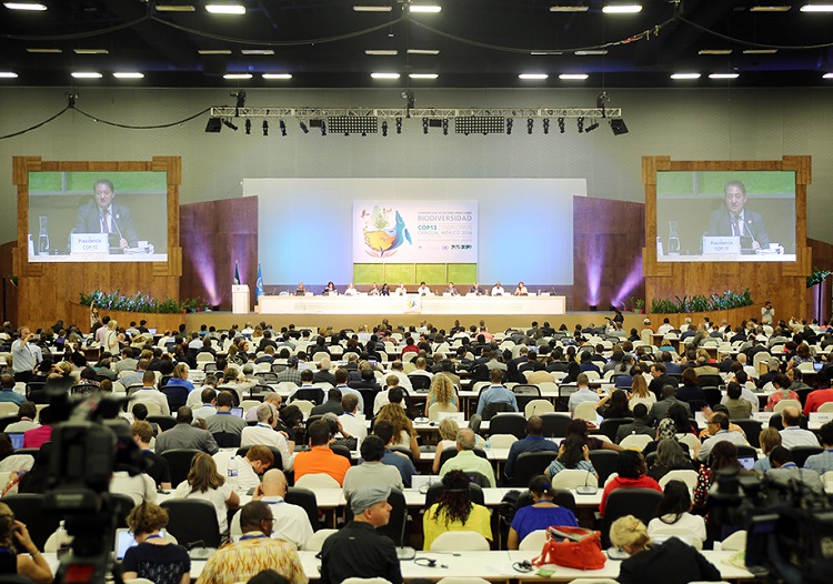 image 13ème réunion de la Conférence des Parties à la Convention sur la biodiversité à Cancún